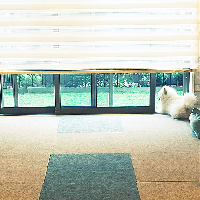 chi201さんの実例写真