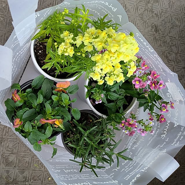 mi-saさんの実例写真