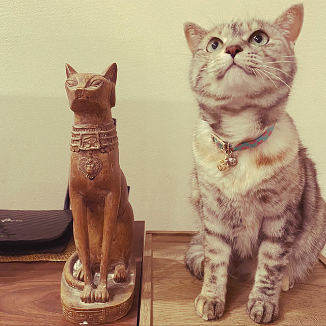maroさんの実例写真
