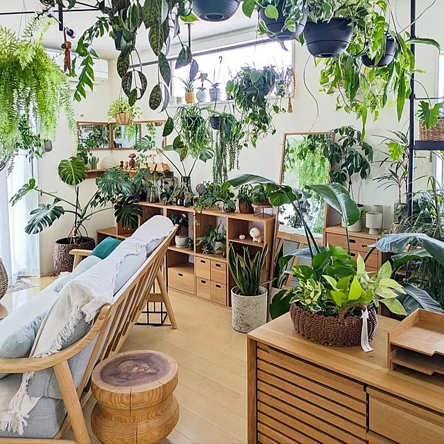 リラックス空間/ナチュラルインテリア/観葉植物のある暮らし/北欧インテリア/植物のある暮らし...などのインテリア実例 - 2024-08-31 06:44:40