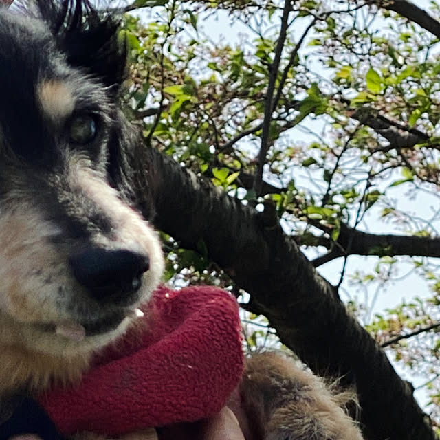 ohanaさんの部屋