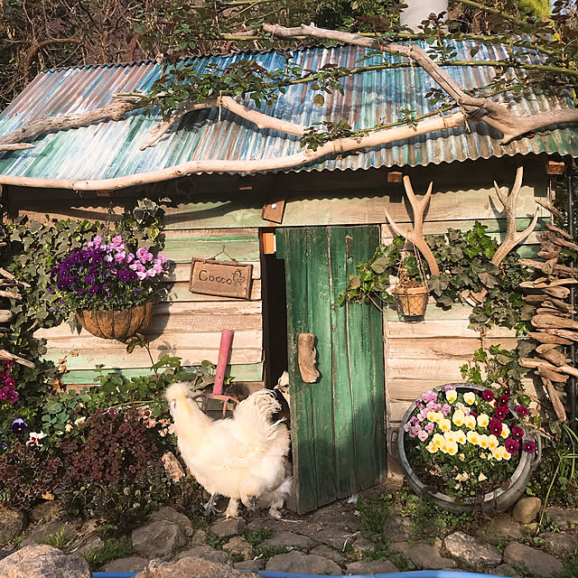pepeさんの実例写真
