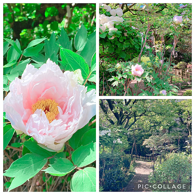 milsaさんの実例写真