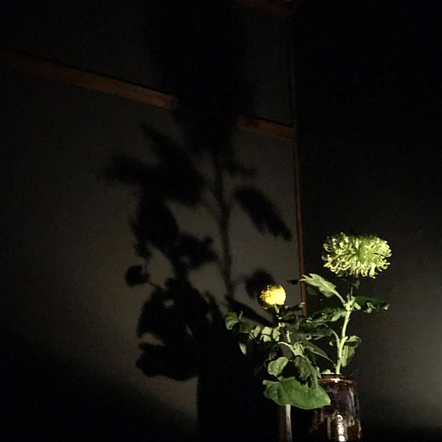 pirocoさんの実例写真