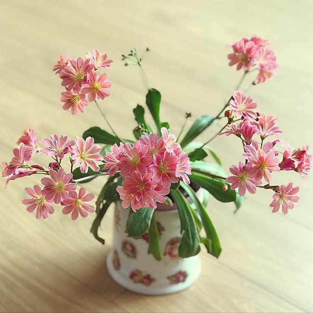 fuyiqian1026さんの実例写真