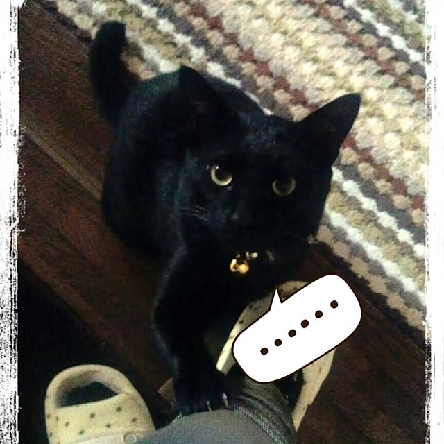 LittleMyさんの実例写真