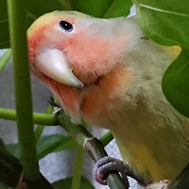 karinさんの実例写真