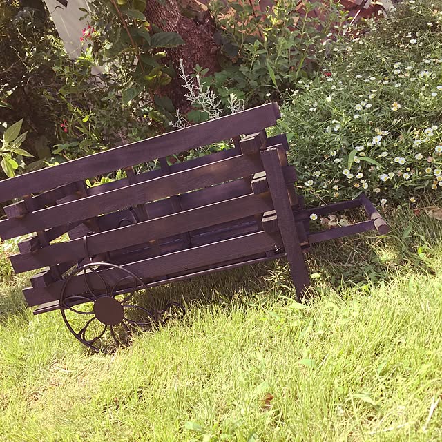 greenbeetleさんの実例写真