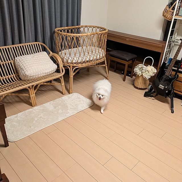 tilolさんの部屋