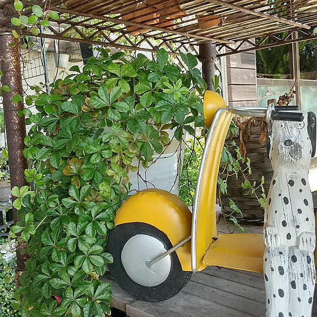 koyutan-mjmさんの実例写真