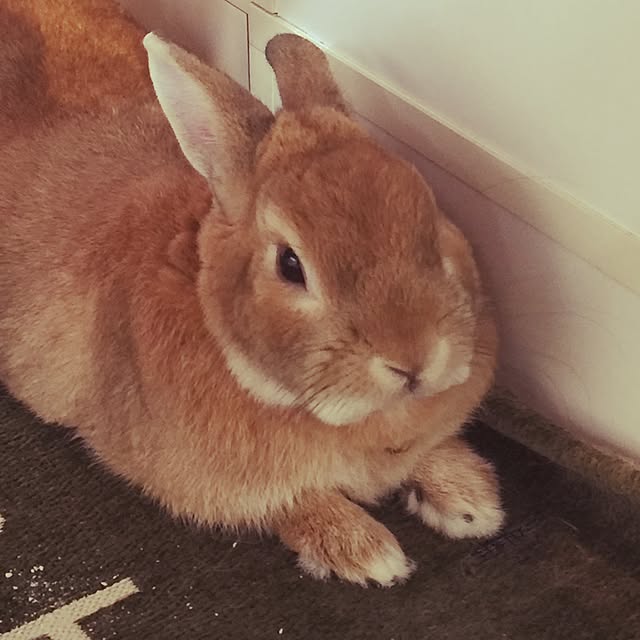 Yasuyukiさんの実例写真