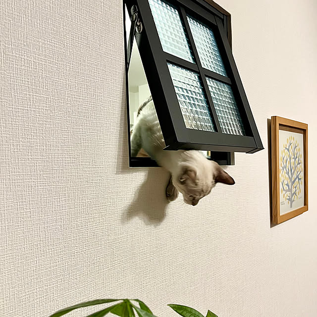 amさんの実例写真