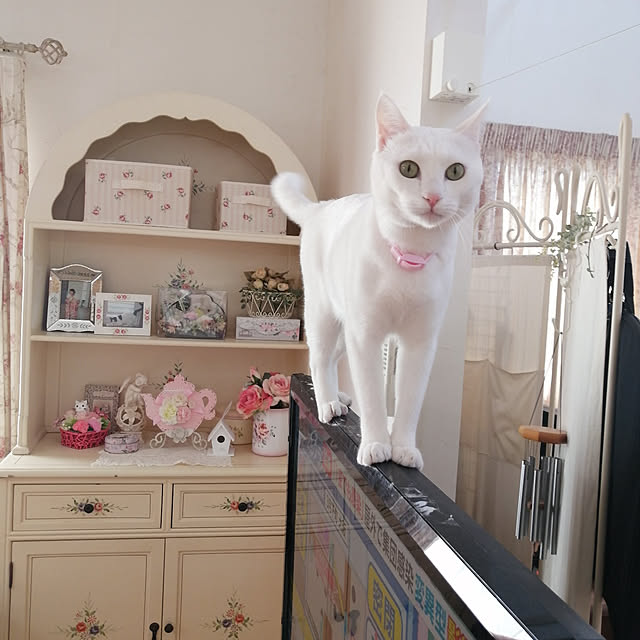 yukappeさんの実例写真