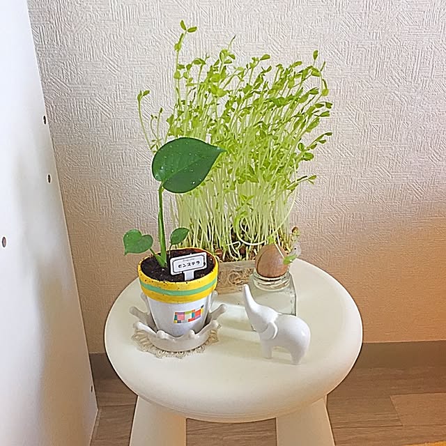 Yuukaさんの実例写真