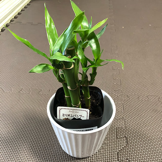 keikoさんの実例写真