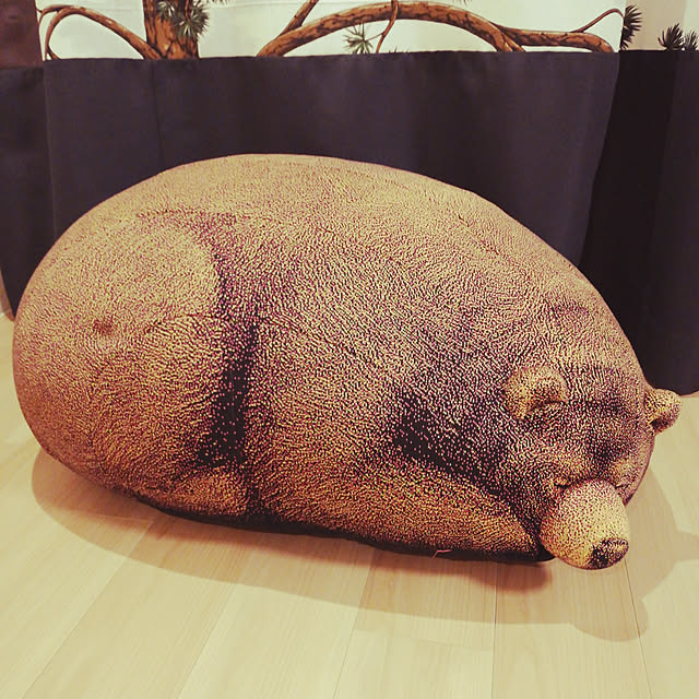 bonoさんの実例写真