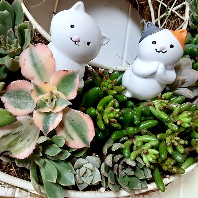 katさんの実例写真