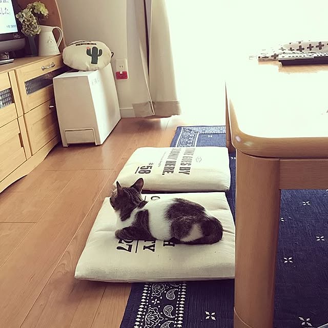 youkoさんの実例写真