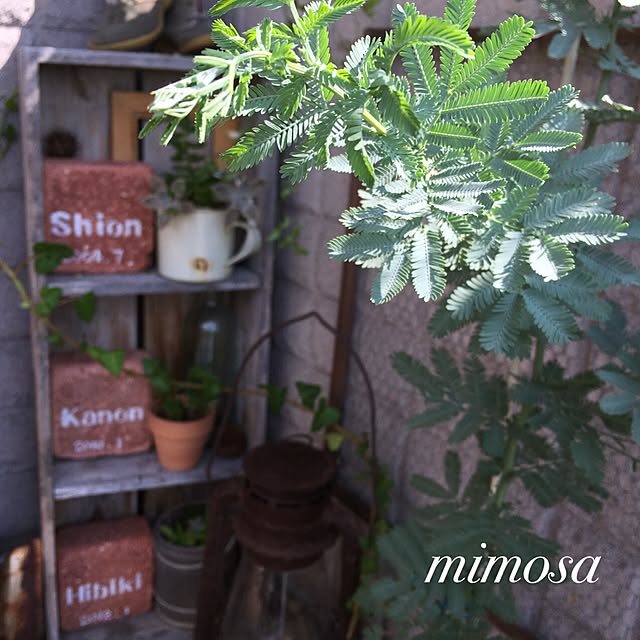 eriさんの実例写真