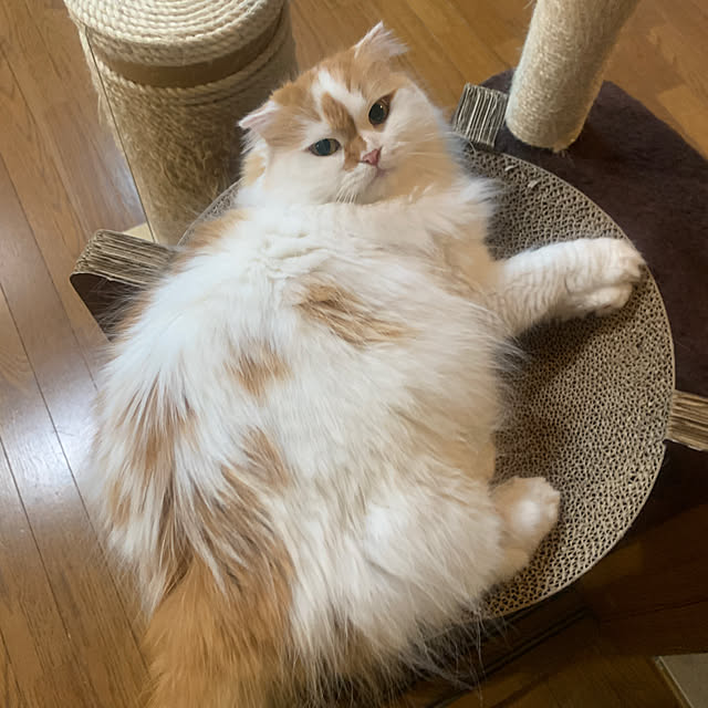 keiさんの部屋