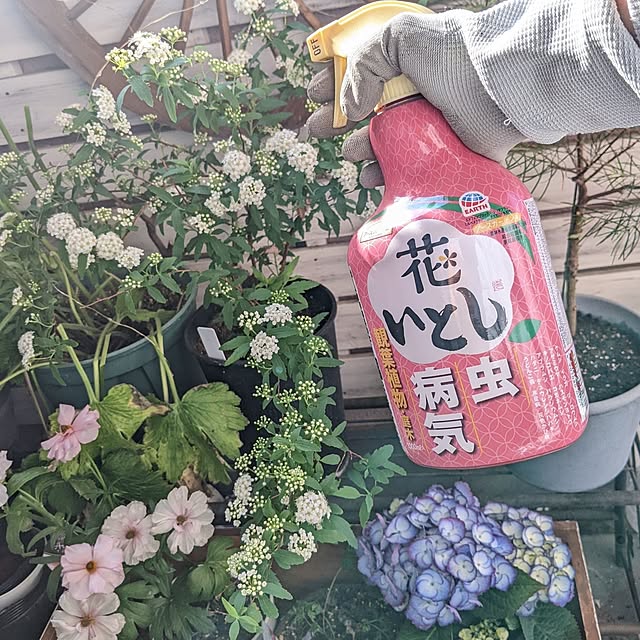 ichi.さんの実例写真
