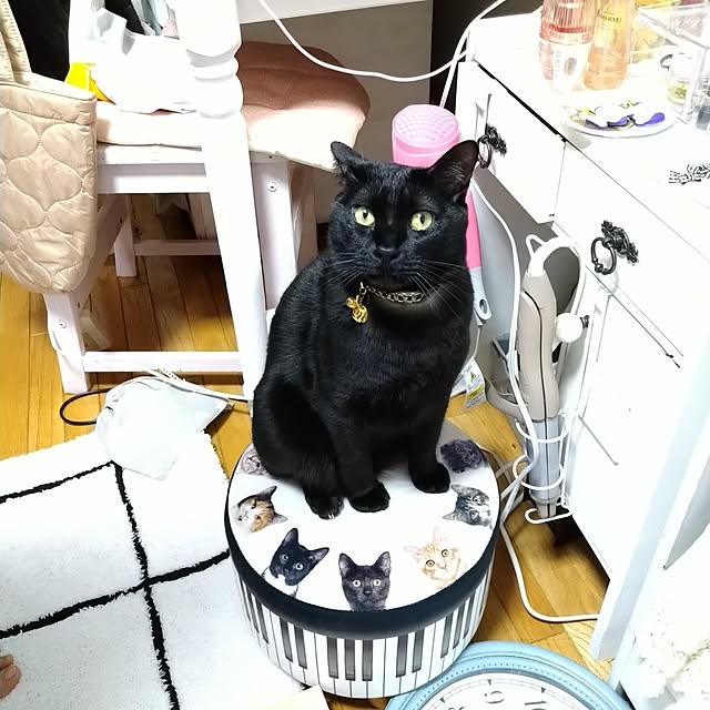 Tさんの実例写真