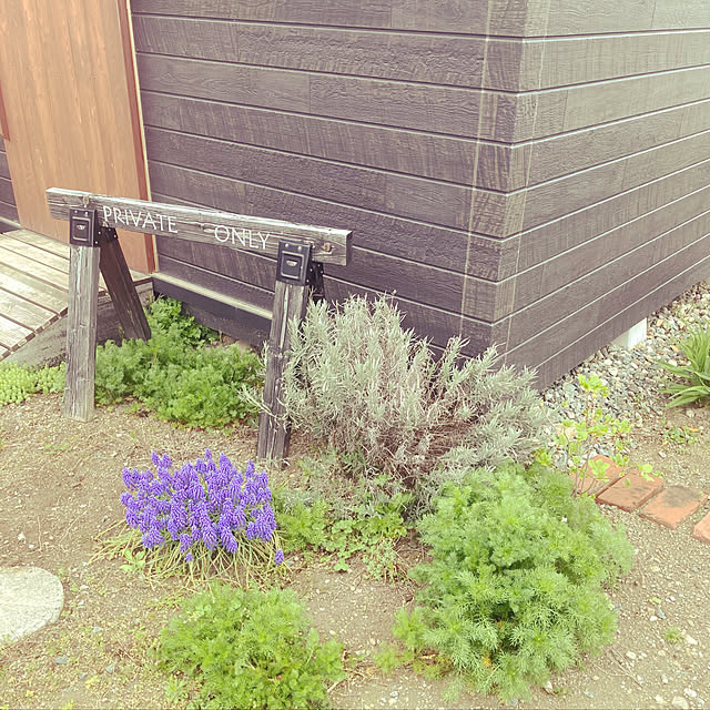 marineneさんの実例写真