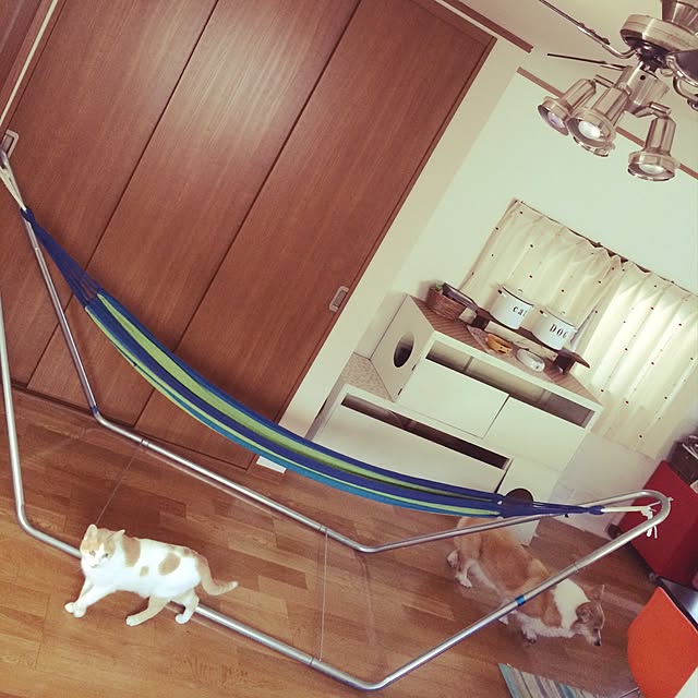 k.0316さんの実例写真