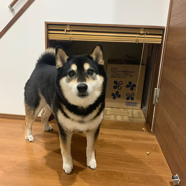 Megumiさんの部屋