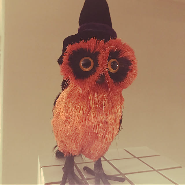 TOMさんの実例写真