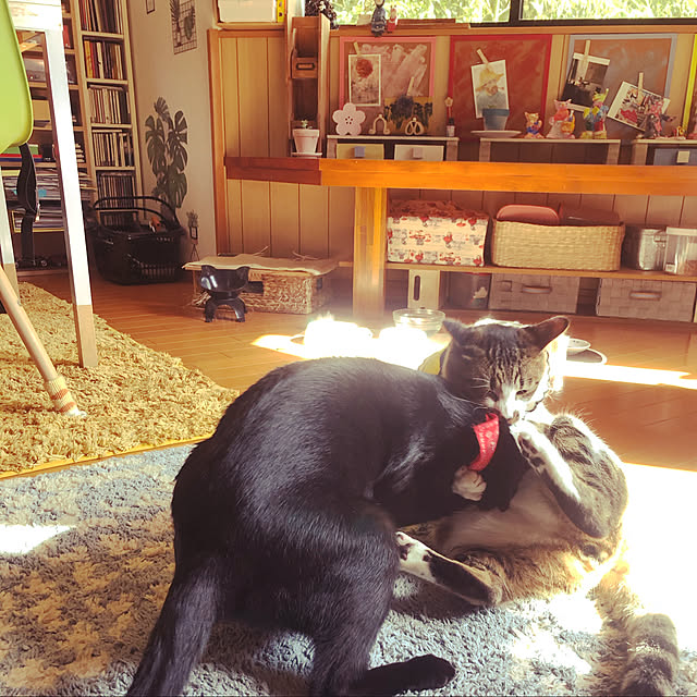 jijiさんの実例写真