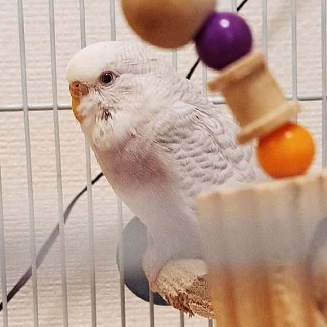 blueさんの実例写真