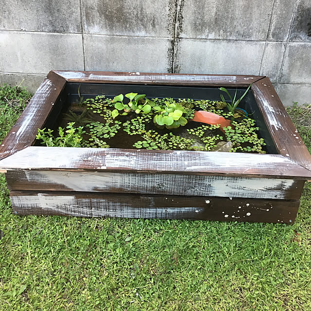 yoshiさんの実例写真