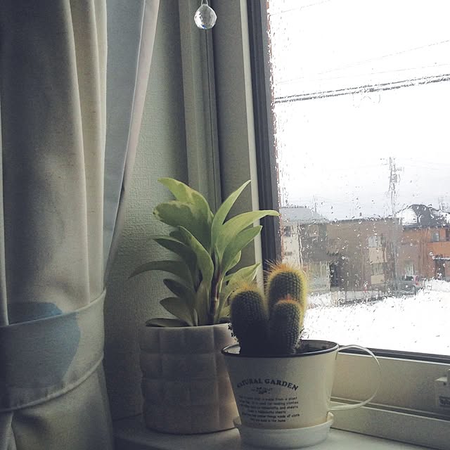 minminさんの実例写真
