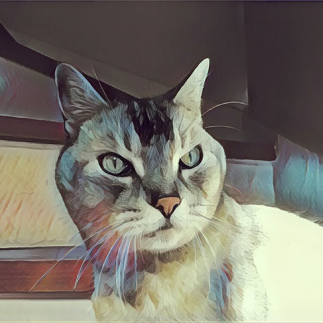 tamacharouさんの実例写真