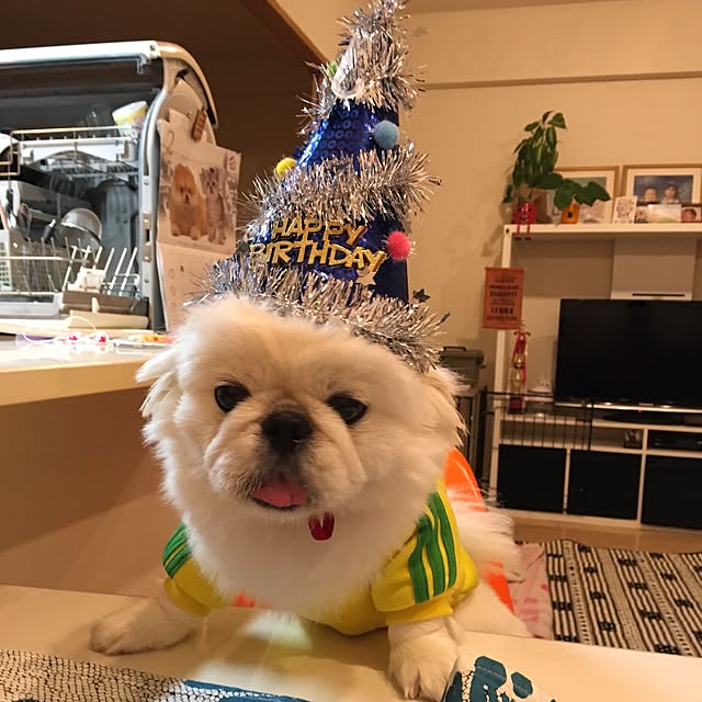 akisanさんの実例写真