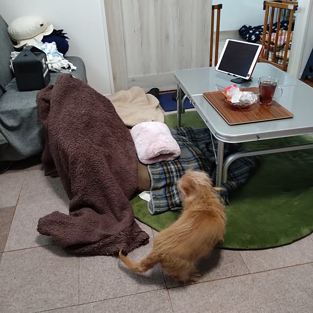 chocococoaさんの実例写真