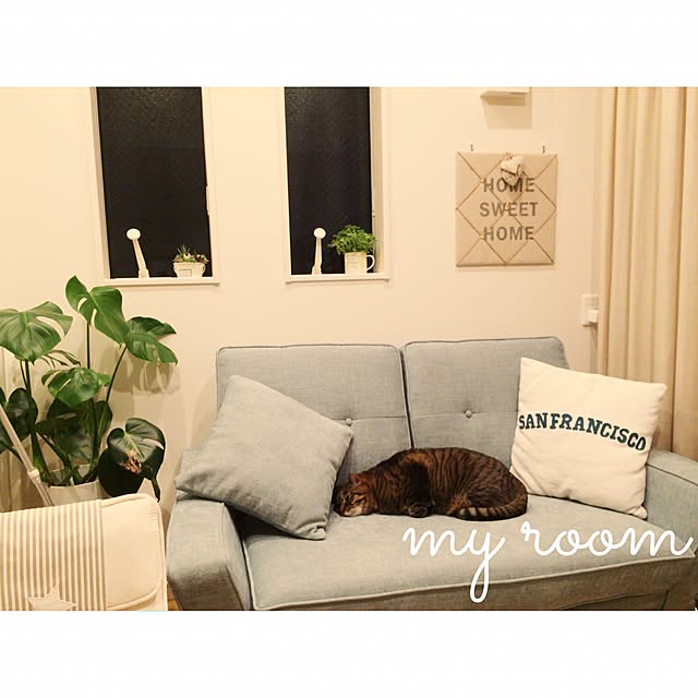 lovecatさんの実例写真
