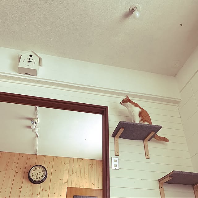 akaneさんの実例写真