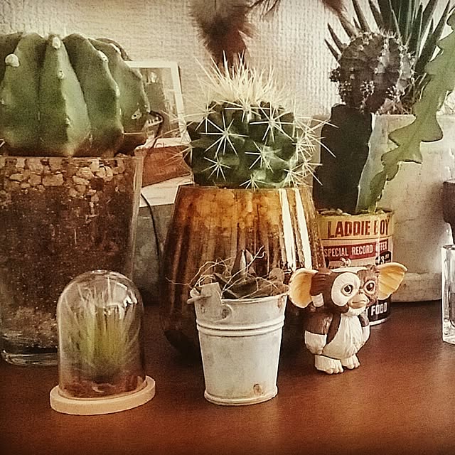 kakinotaneさんの実例写真