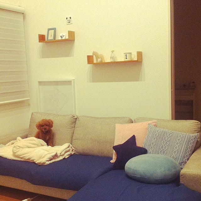 Tarutoさんの実例写真