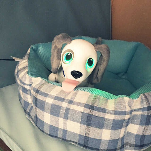 ohanaさんの実例写真