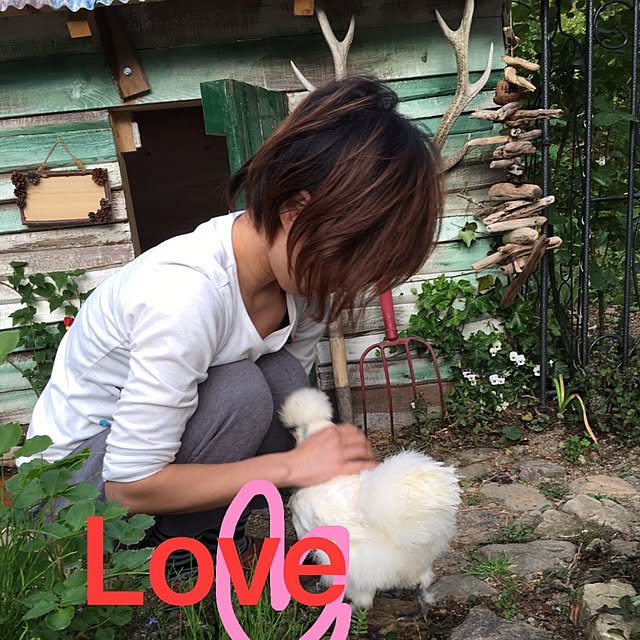 pepeさんの実例写真