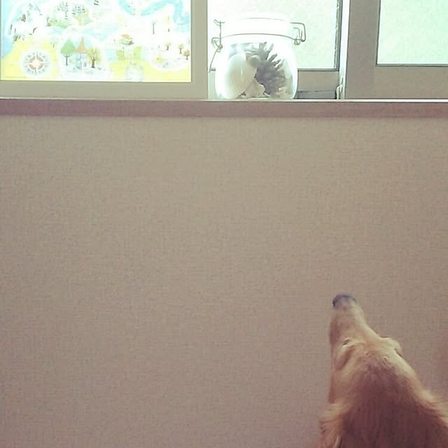 potさんの実例写真
