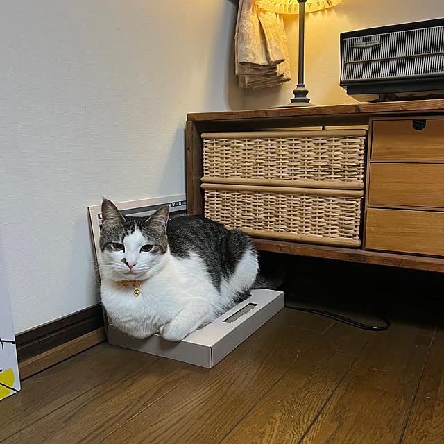 kuzumeganeさんの実例写真