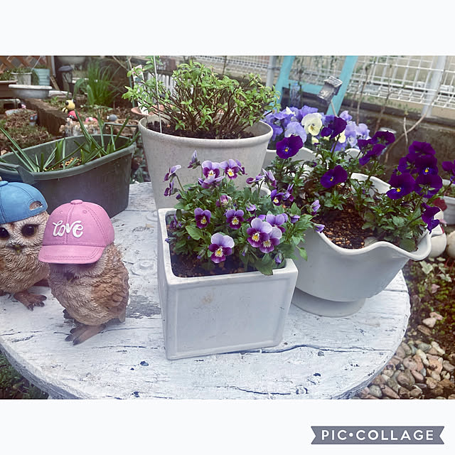 CoCo0617さんの実例写真