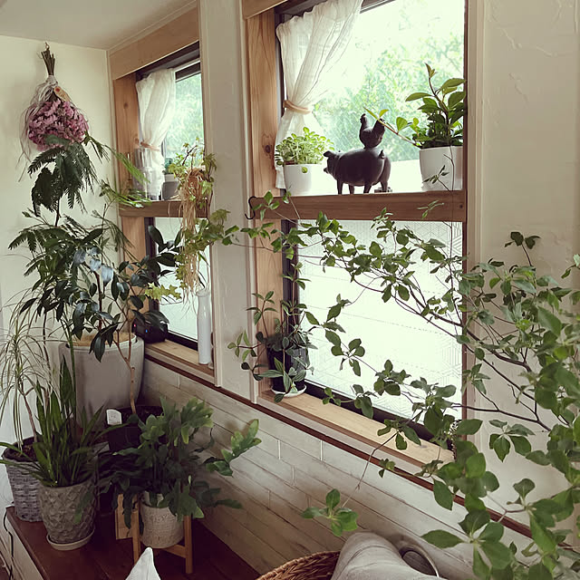 nikoさんの部屋