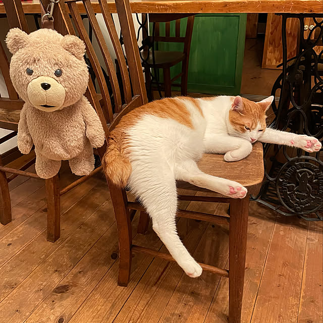 meさんの実例写真