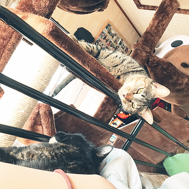 Mozzzzzさんの実例写真
