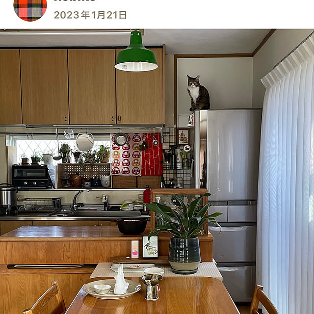 nobikoさんの部屋